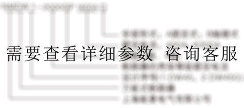 NMSG-100~4000A隔離型雙電源PC級(jí)型號(hào)含義 NMSG-100~4000A隔離型雙電源PC級(jí)型號(hào)含義